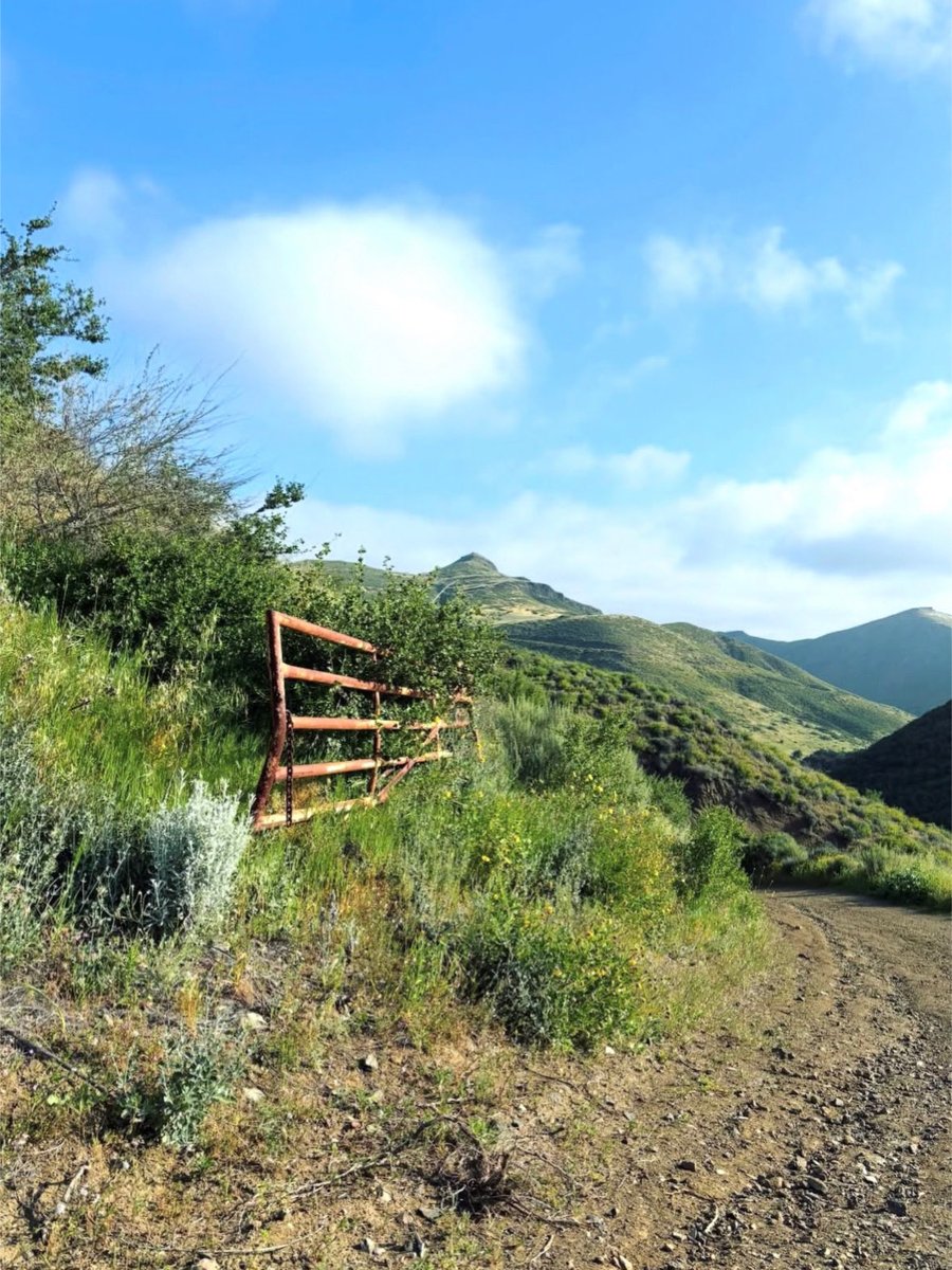 COSChallenge's tweet photo. We’re almost halfway through the #coschallenge which means if you haven’t started, go ahead and venture out on your first trail! An instagram user posted a photo below from the trails, so many unique sights you can experience on all 10 trails! https://t.co/fNj3nCx1Jy