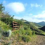 Photo by Conejo Challenge (@COSChallenge)