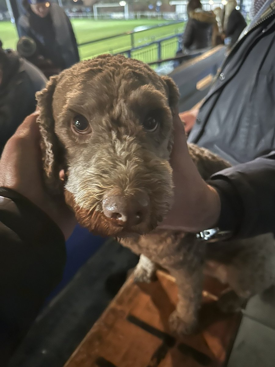 Geoff zzzzzz tweet media