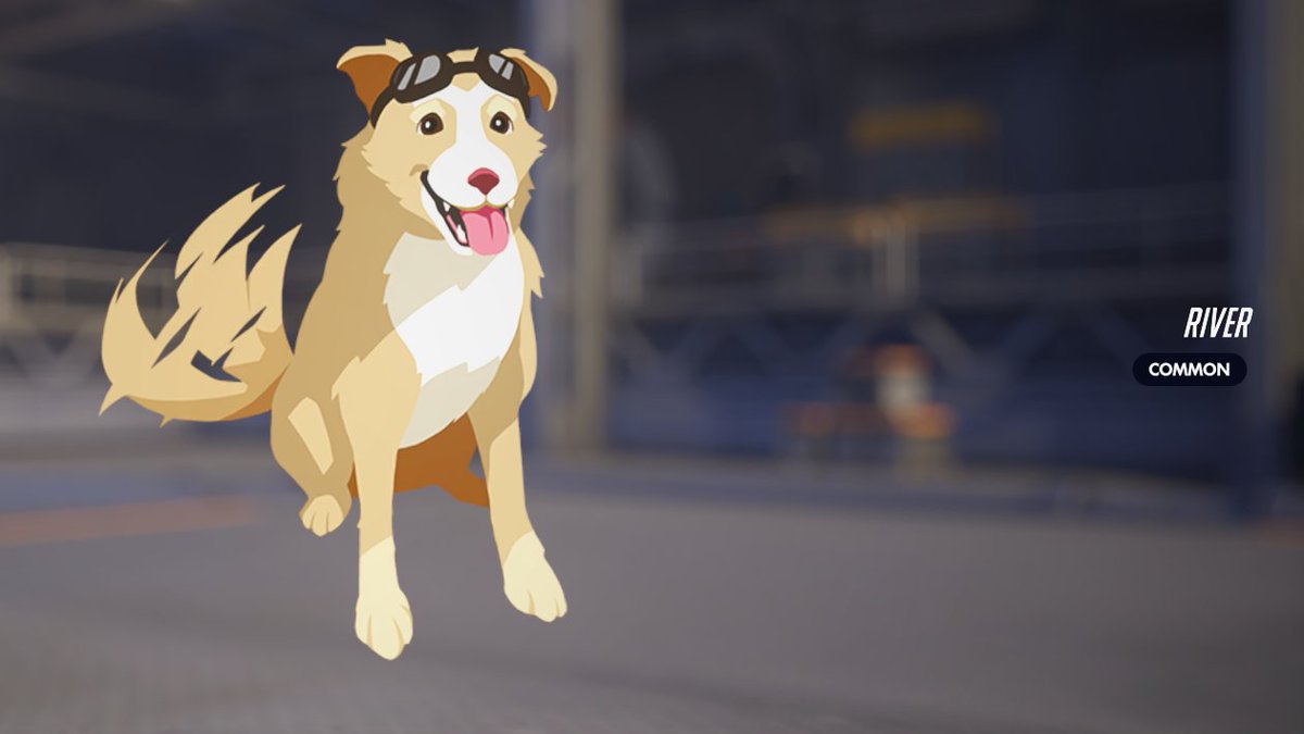 ralee 💙🌙 tweet media