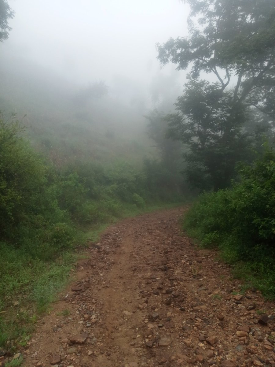 Nko nje ya Dunia™ tweet media