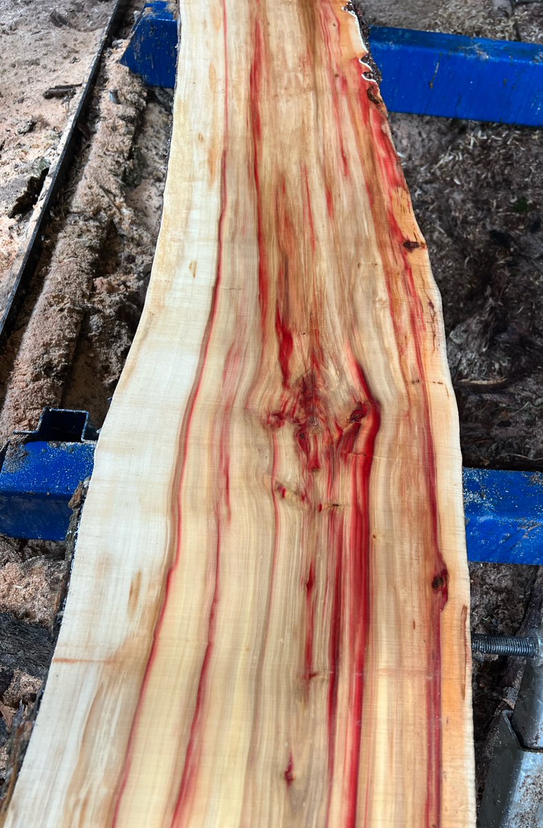 ‘Merican AF 🇺🇸 tweet media