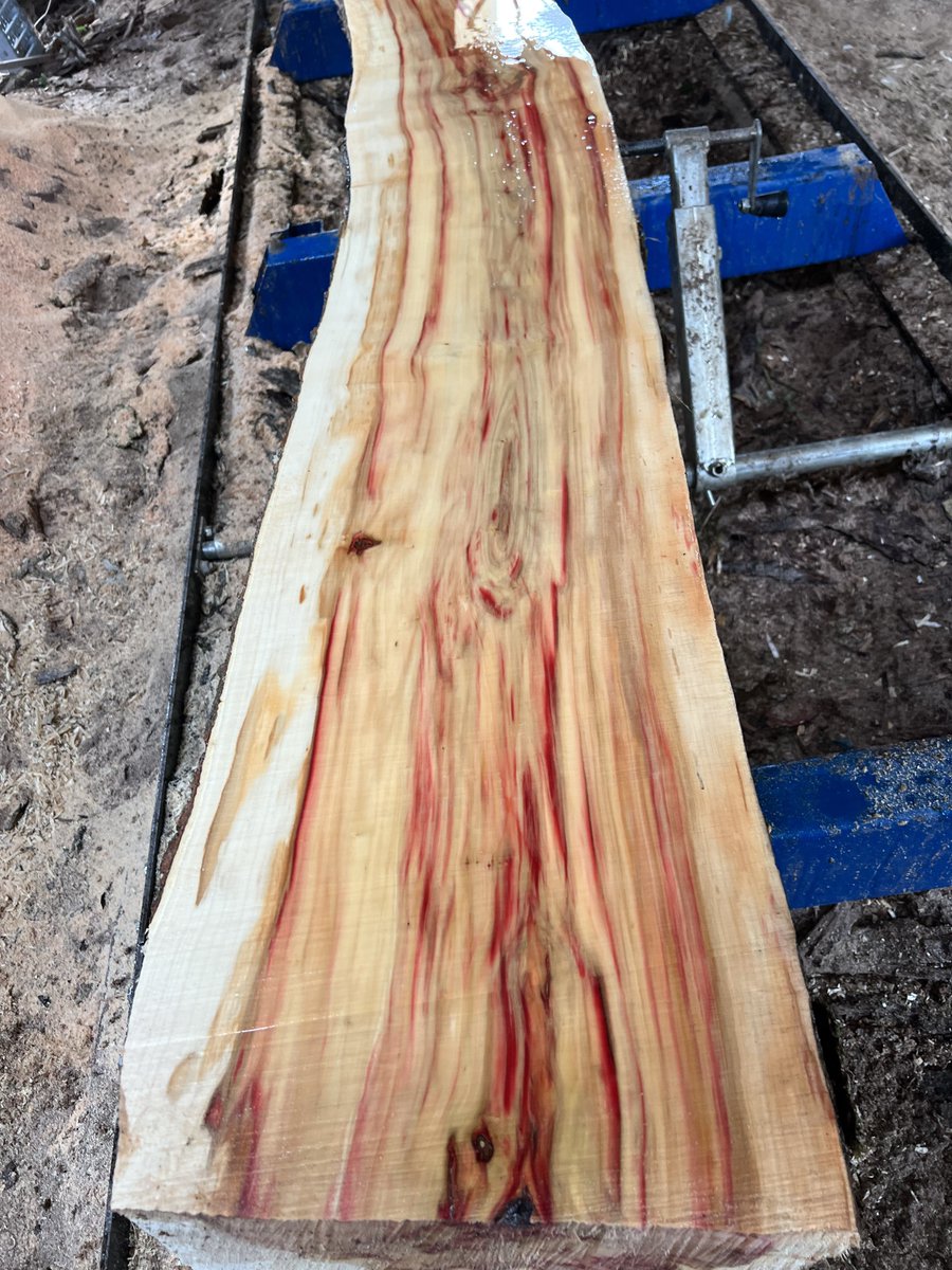 ‘Merican AF 🇺🇸 tweet media