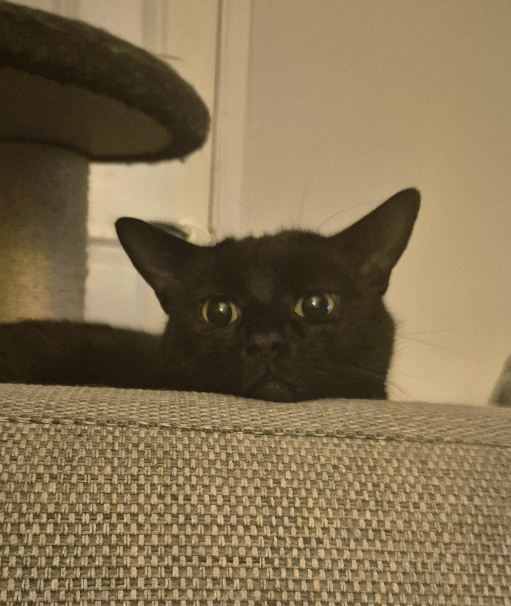 George O'Callaghan tweet media