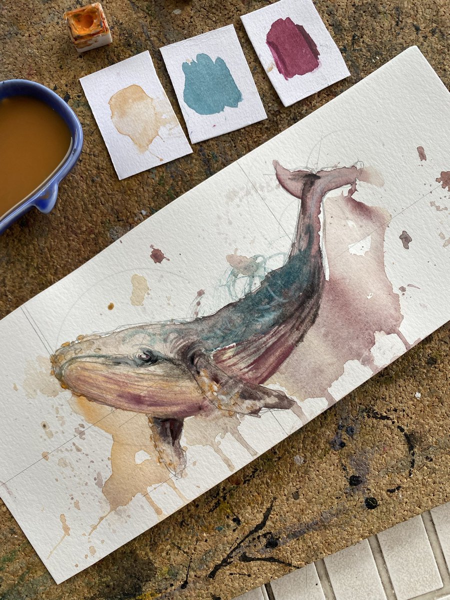 Vive les baleines 😍😍😍😍