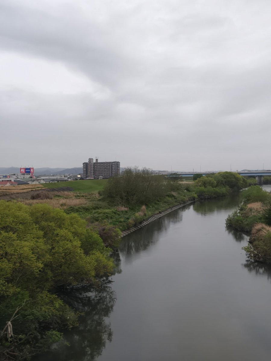 totochan tweet media