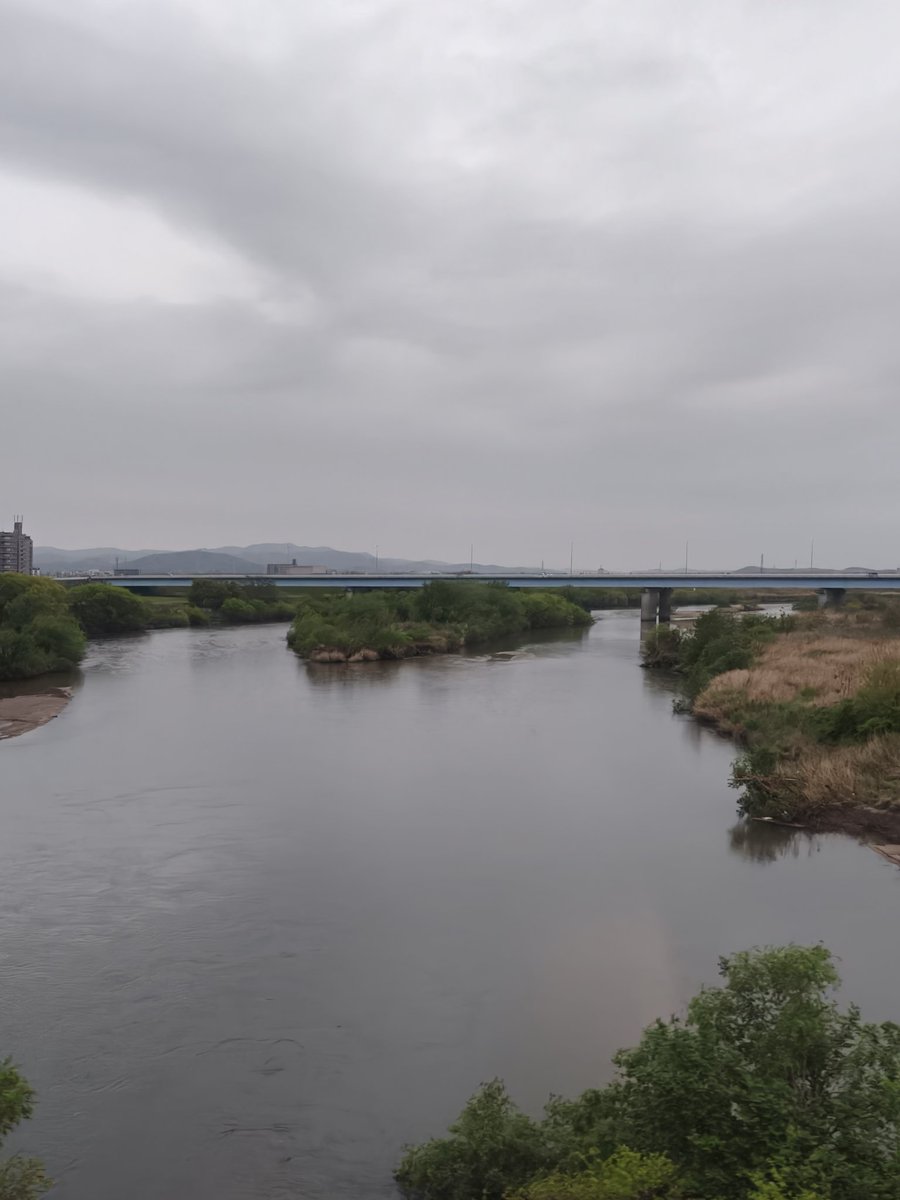 totochan tweet media