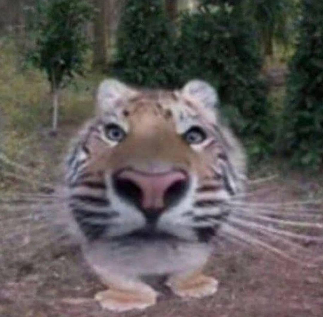 virgilio guia turistico tweet media