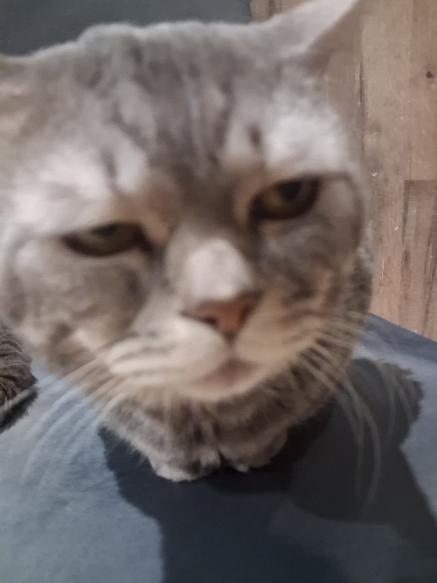 Enhypen is 7 tweet media