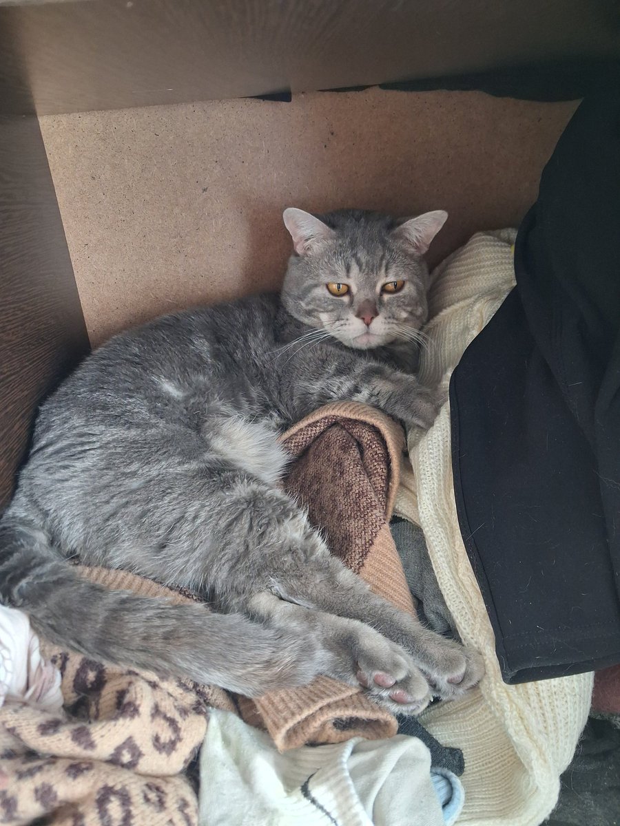 Enhypen is 7 tweet media