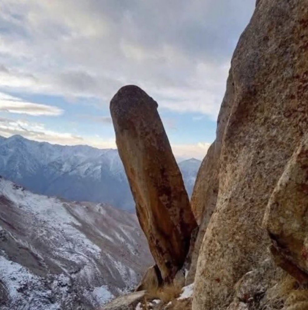 Tiffany Fong tweet media