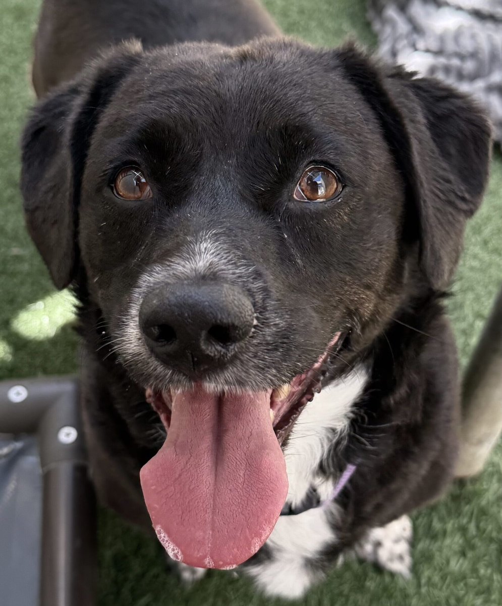 John Van Zante tweet media