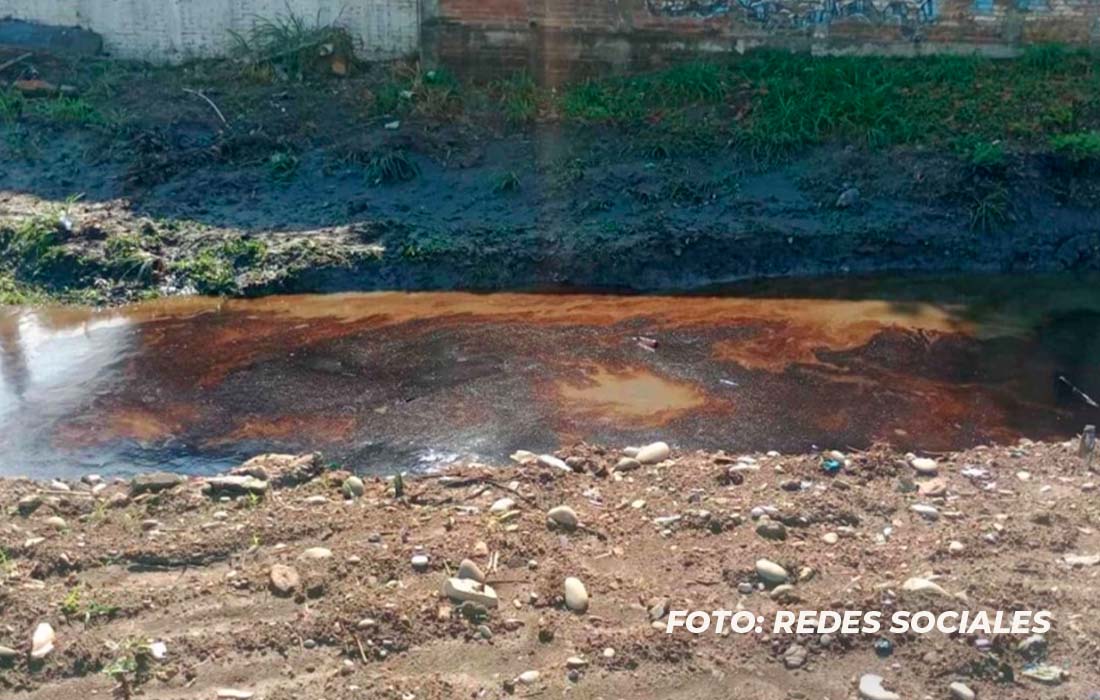 Chingaquedito tweet media