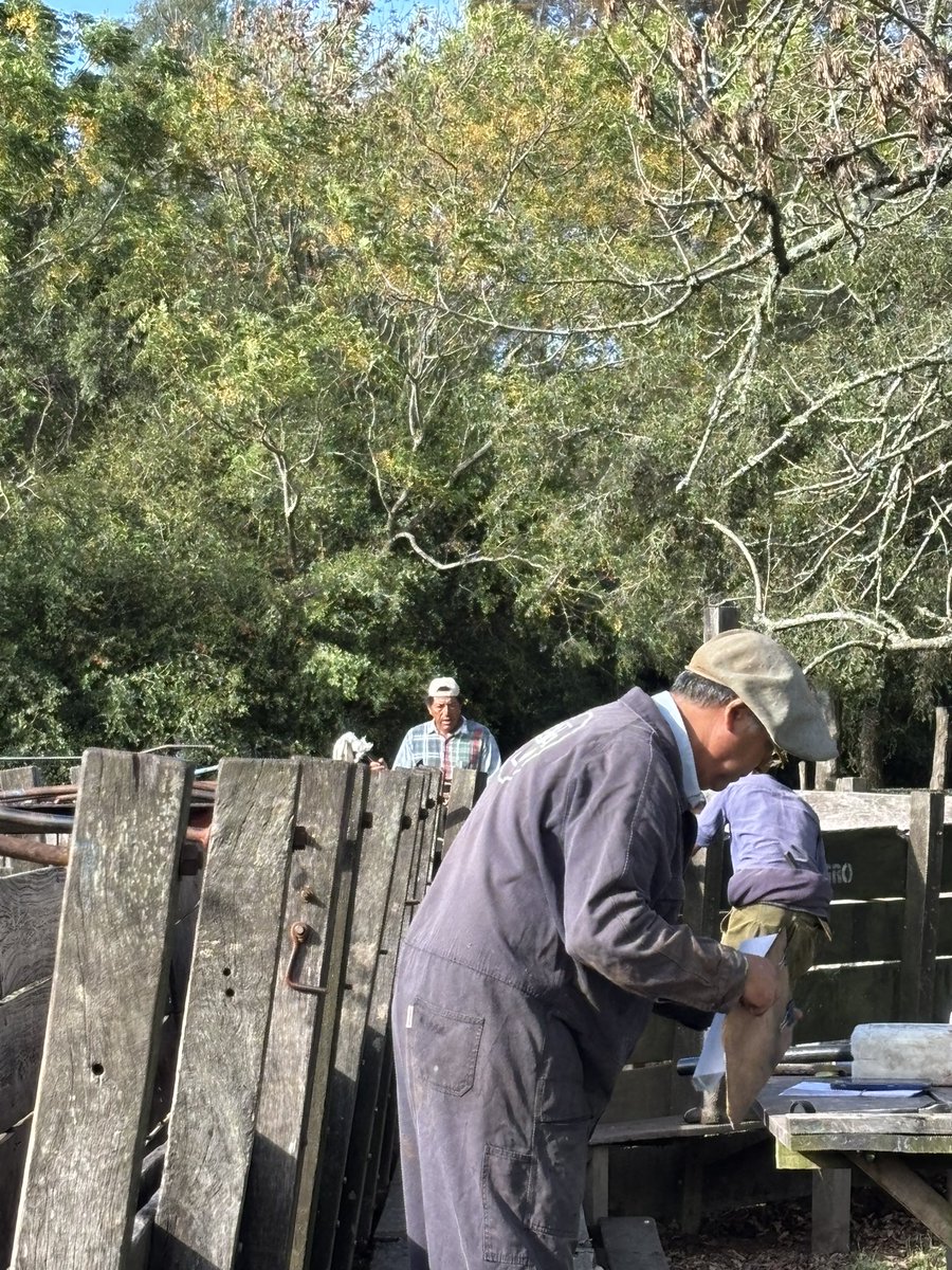 El Baqueano tweet media