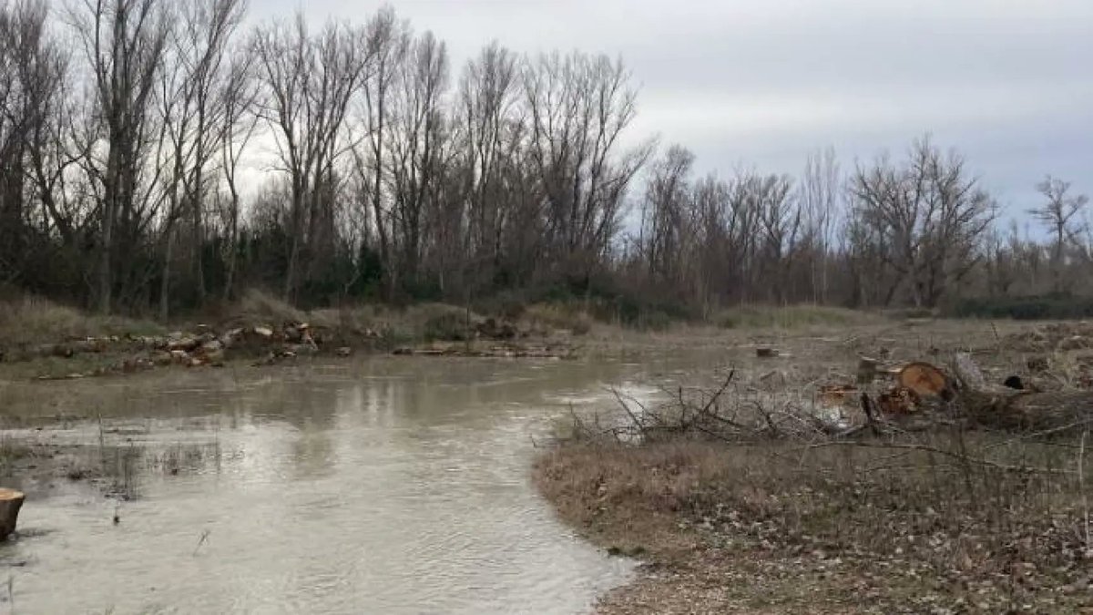CopeZaragoza's tweet photo. 🚨 La @policia investiga el hallazgo de un cadáver en las inmediaciones de la desembocadura del río Gállego, en el barrio de #Movera. El cuerpo que se encontraba en avanzado estado de descomposición, está pendiente de ser identificado por el Instituto de Medicina Legal de Aragón. https://t.co/QuZmMUGdSH