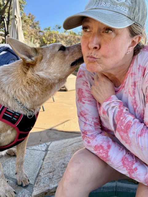 John Van Zante tweet media