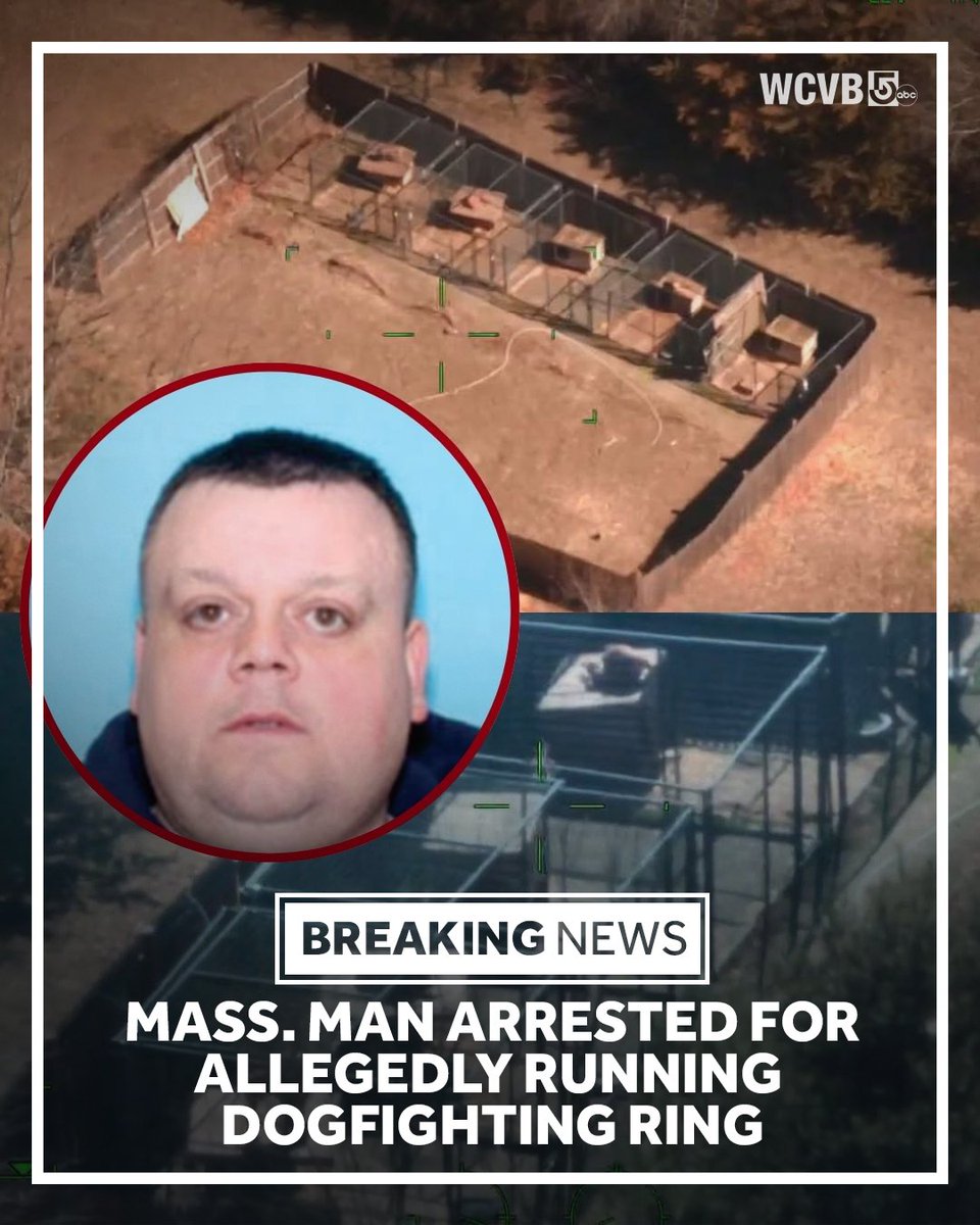 WCVB-TV Boston tweet media