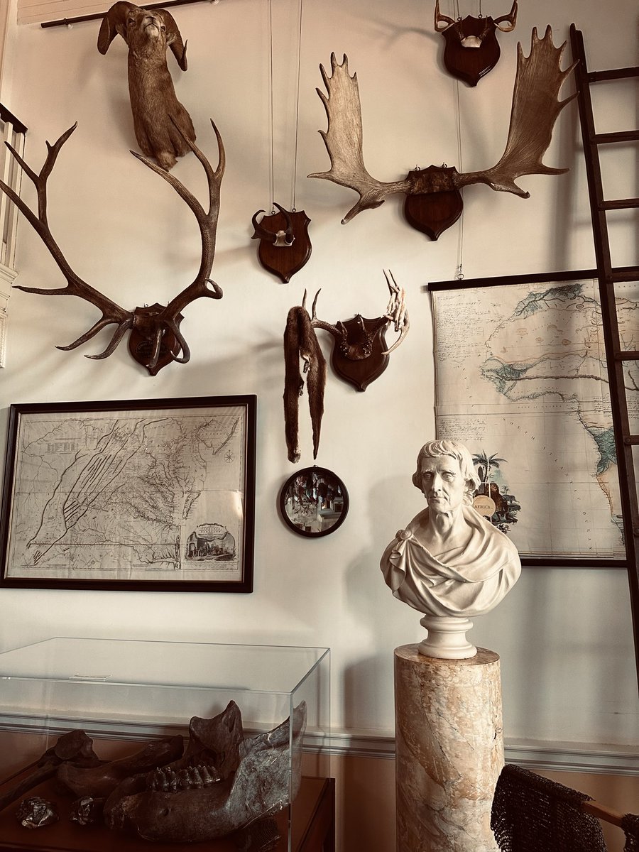 Christopher F. Rufo ⚔️ tweet media