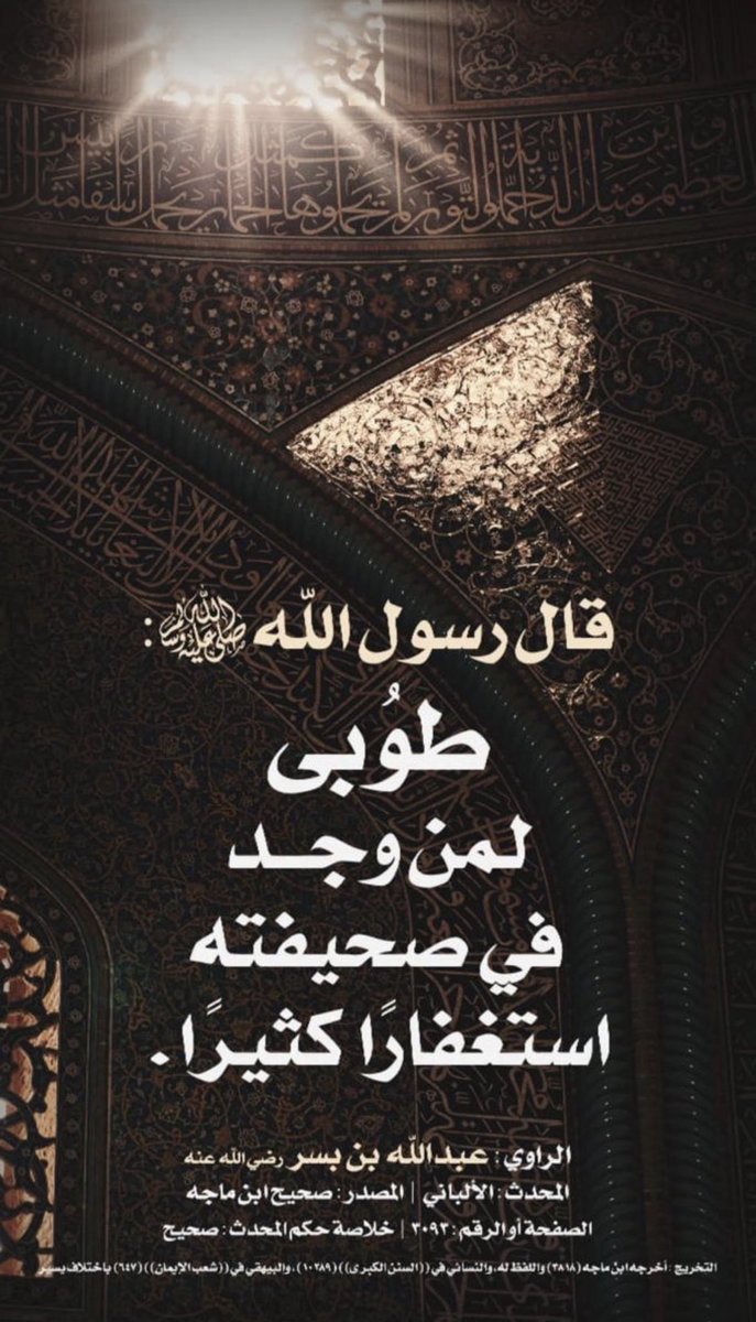 الدلما tweet media