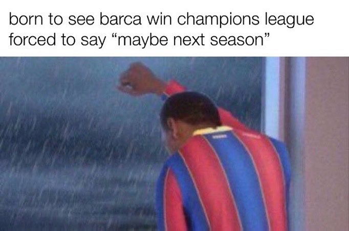 🧚🏼 tweet media