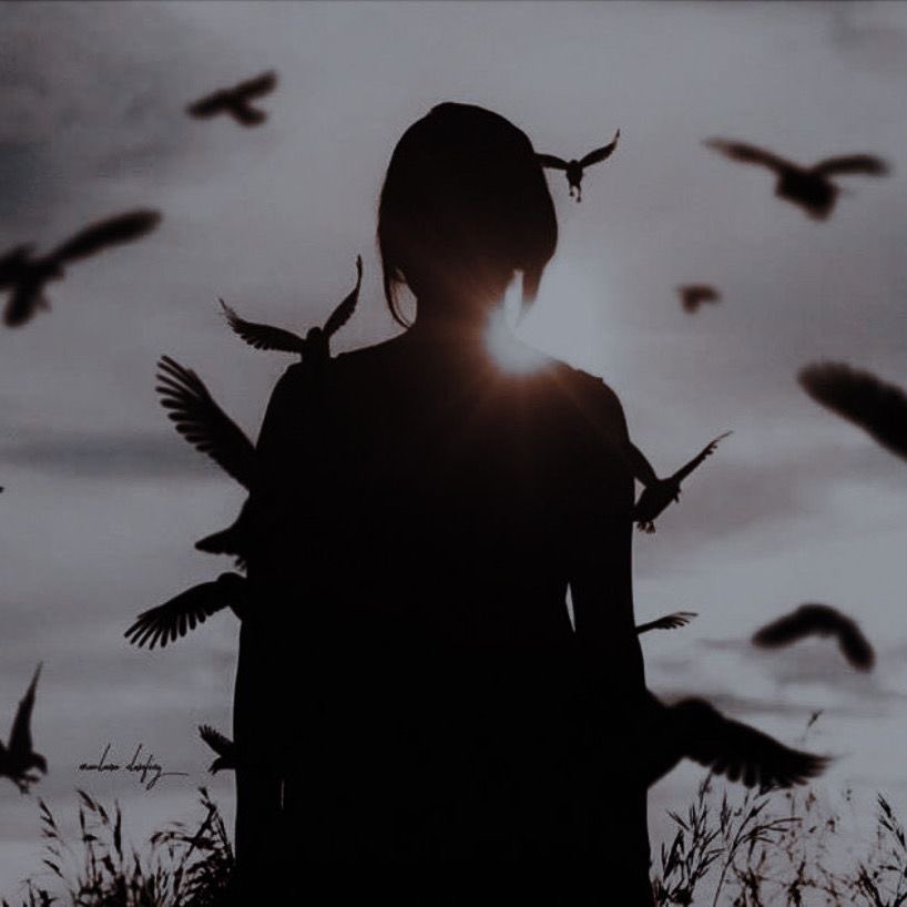 Blake 📚📖 tweet media