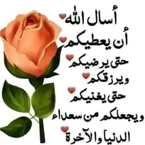 AminRadey's tweet photo. https://t.co/c7wVt9IVTn