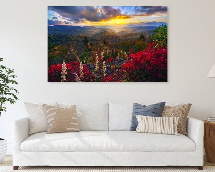 SandiOPhoto's tweet image. Sandi OReilly @sandioreilly&amp;gt; Blue Ridge Mountains Sunset &amp;gt;Get Here: sandi-oreilly.pixels.com/featured/blue-… #blue #ridge #mountains #lush #foliage 

#flowers #sunset #landscape #wallartforsale #prints &amp;amp;on #products #buyintoart

See more #artwork Here:sandi-oreilly.pixels.com