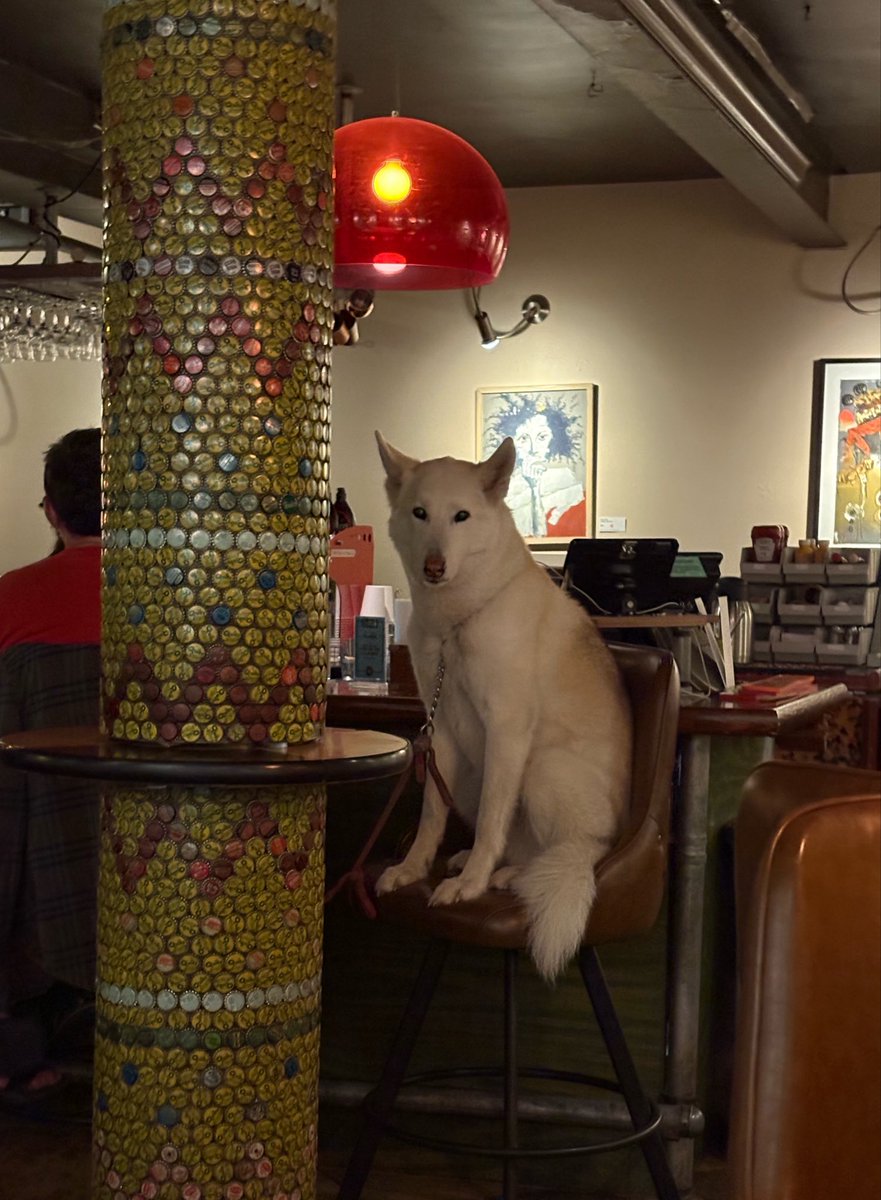 rustbelt_'s tweet image. Bro wants a beer so bad