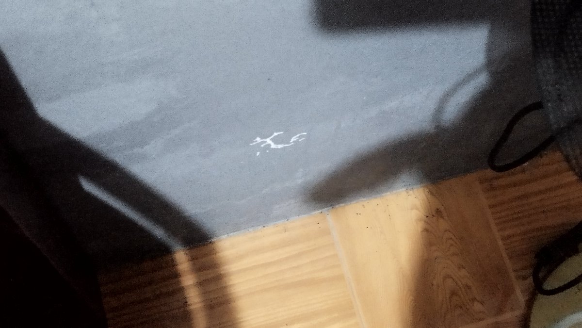 🅶🆄🅽 tweet media