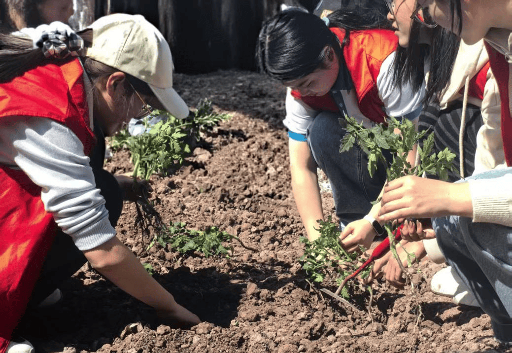 Michaelmisfit10's tweet photo. Spent 3 hours at the community garden today—watered plants, cleared weeds, and chatted with elderly neighbors. Small acts, big smiles. #VolunteerLife #CommunityLove https://t.co/HktNiv0GdB