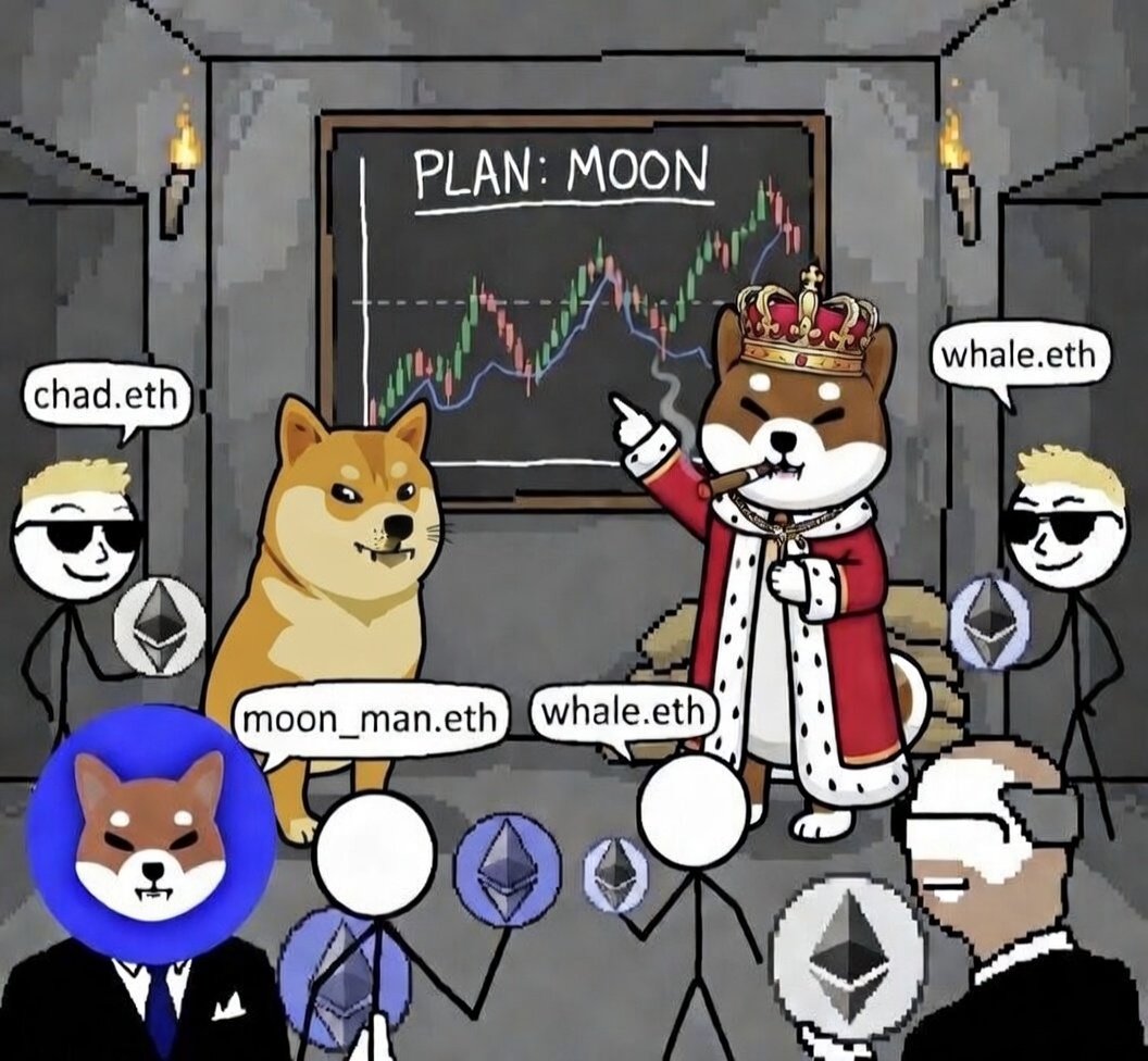Mino Shiba tweet media