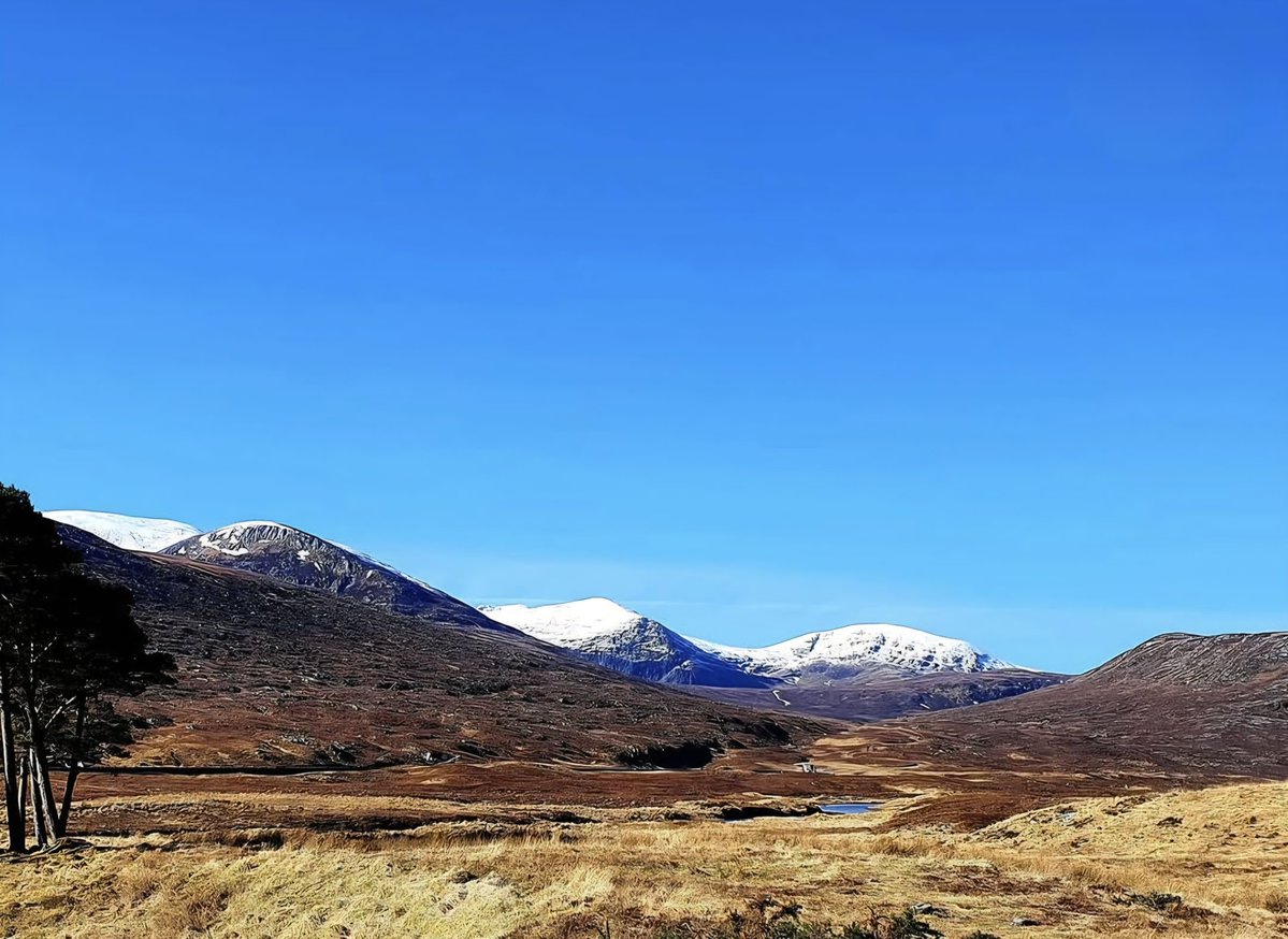 David Steele tweet media