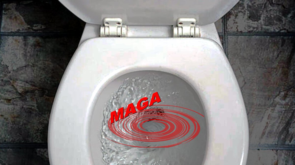 Adam Mortell tweet media