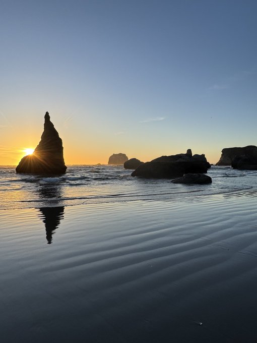 Ava_Johnson tweet media