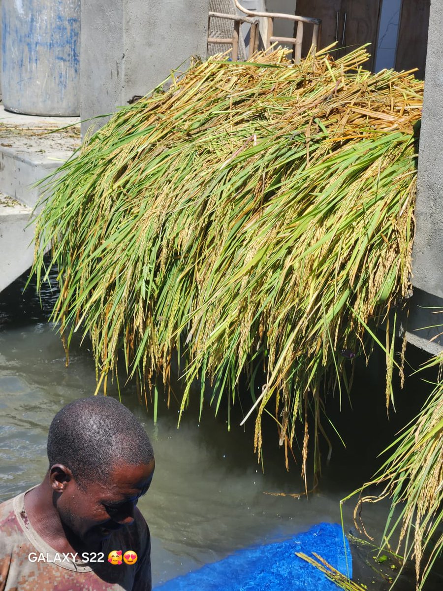 jorge ochoa tweet media