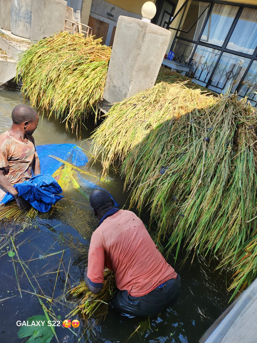 jorge ochoa tweet media