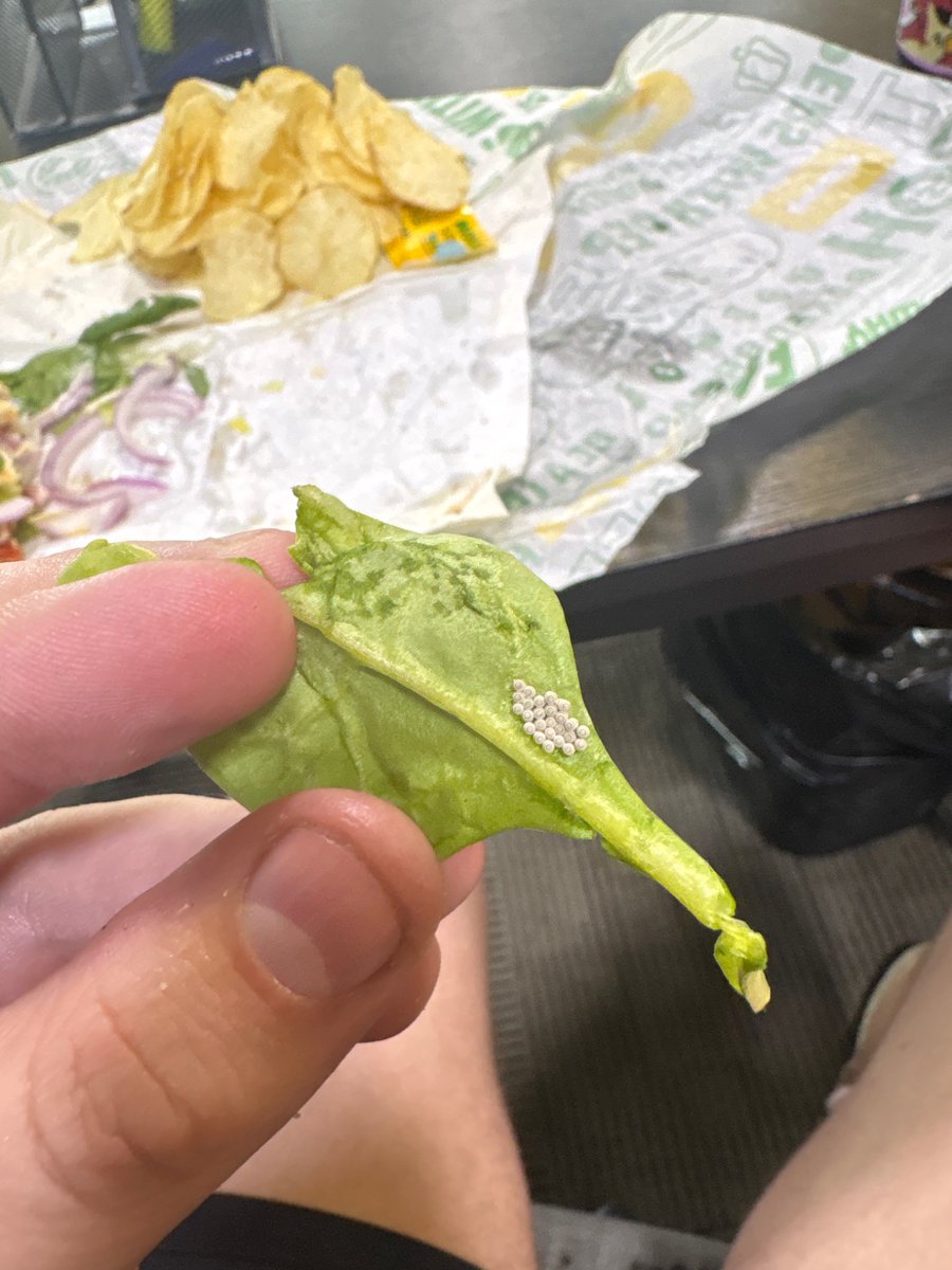VioletLoup's tweet photo. Hey @SUBWAY I didn’t ask for extra protein… https://t.co/T8jRp3Bpfb