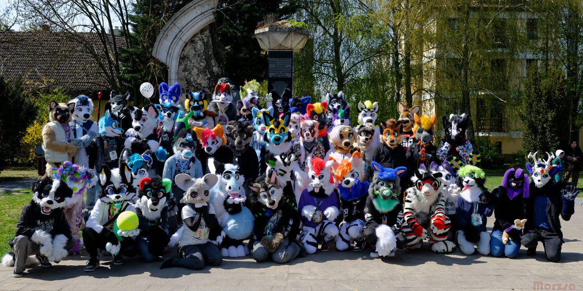 Lime Dev tweet media