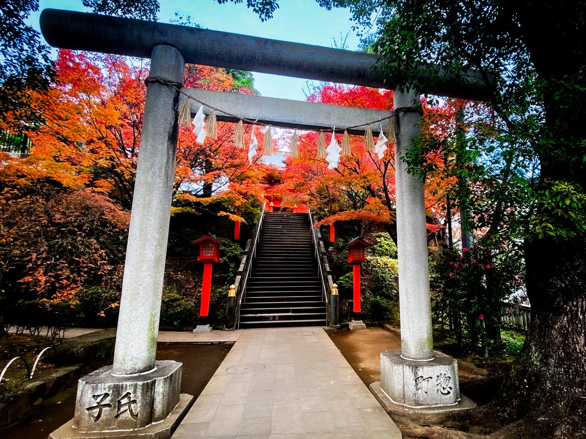 B3nDesuKa 🧚🏻‍♀️🌸🛫 tweet media