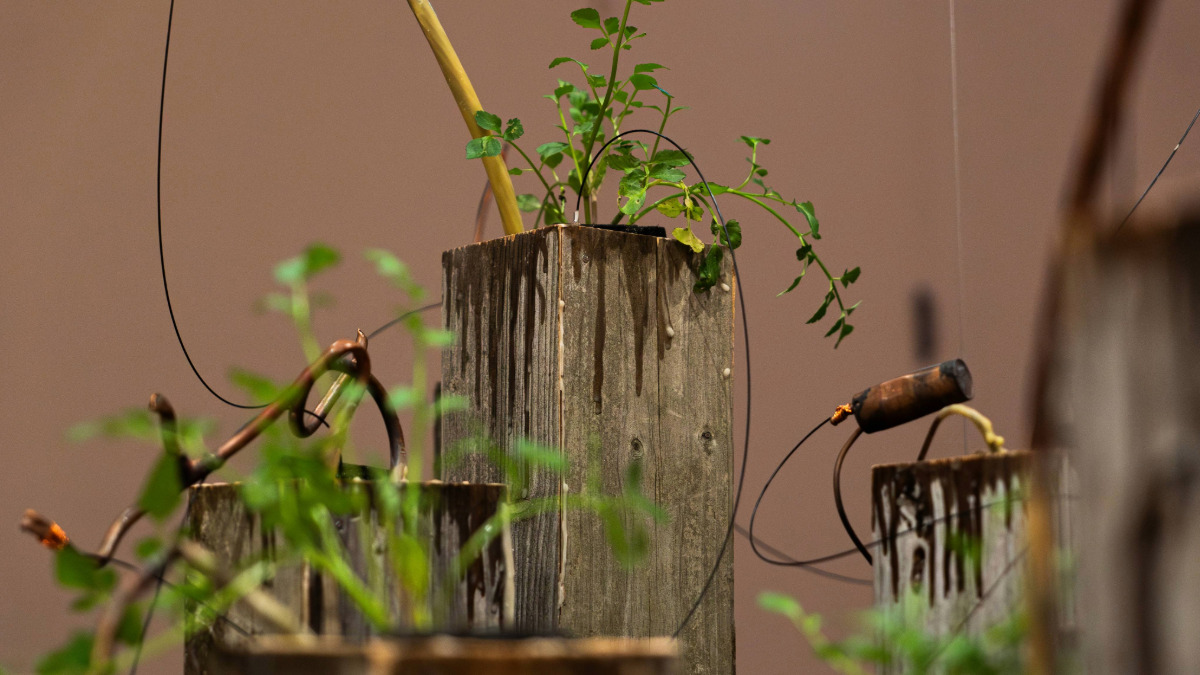 _neural's tweet image. Neural: Sunjoo Lee - Electric Garden, microbial power - neural.it/2026/04/electr…
#bioart #artscience