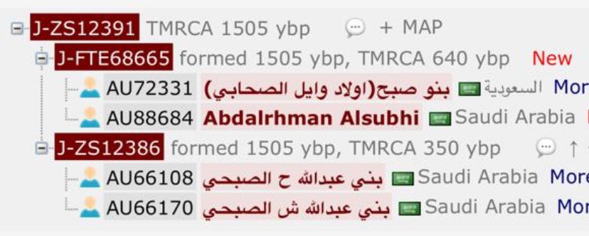 مشروع قبيلة صبح الجيني tweet media