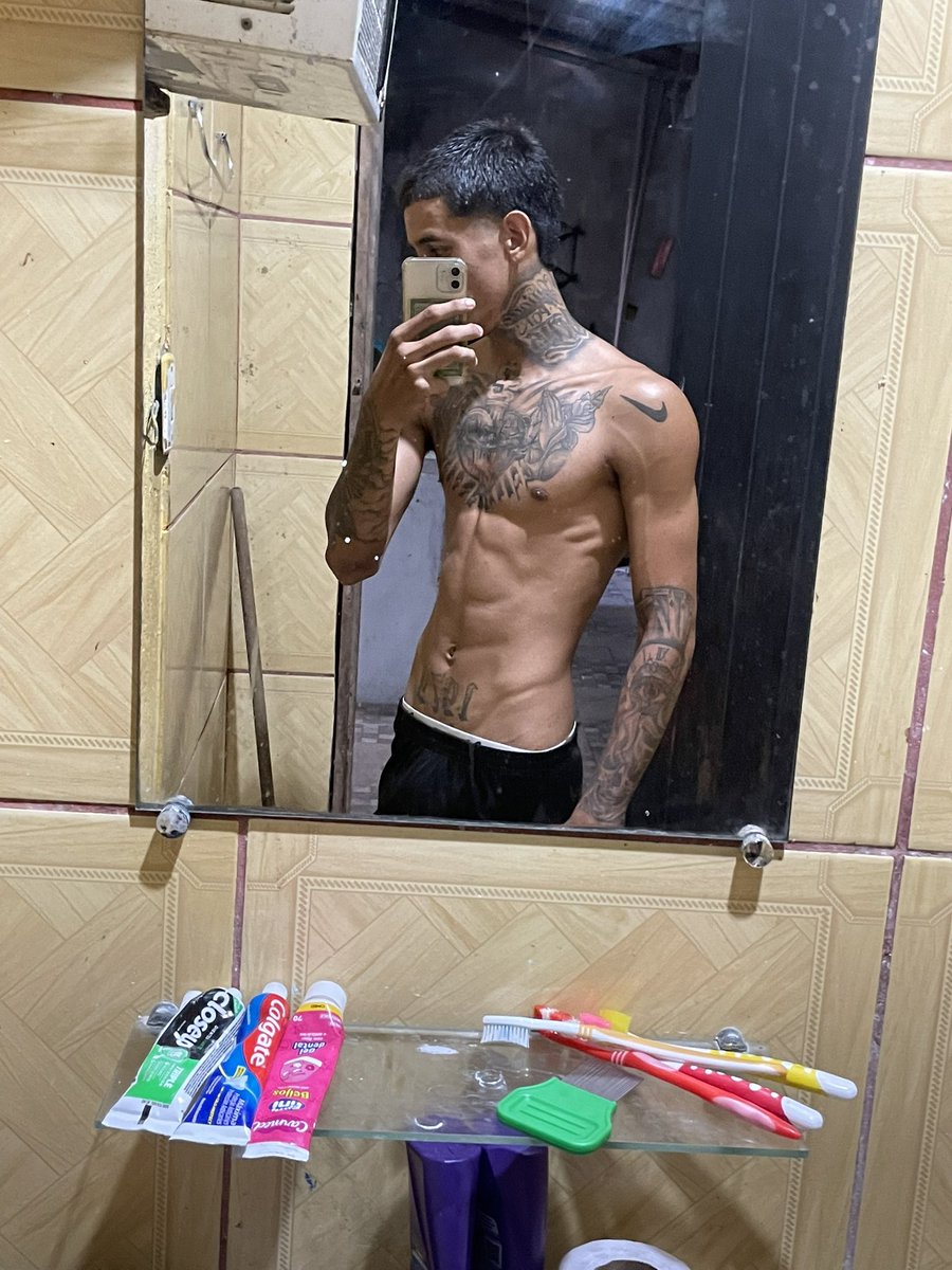 novinho20 tweet media