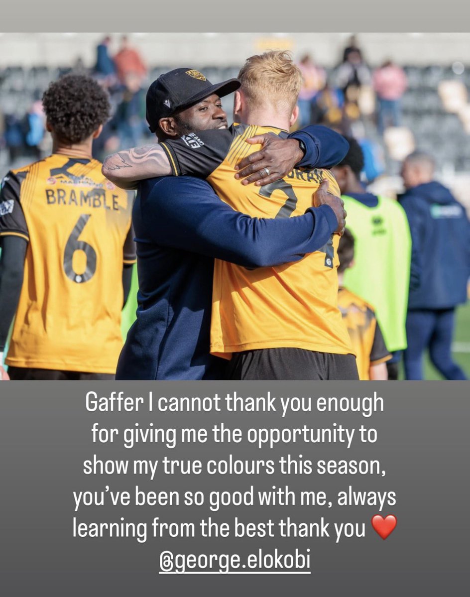 Taylor Foran tweet media