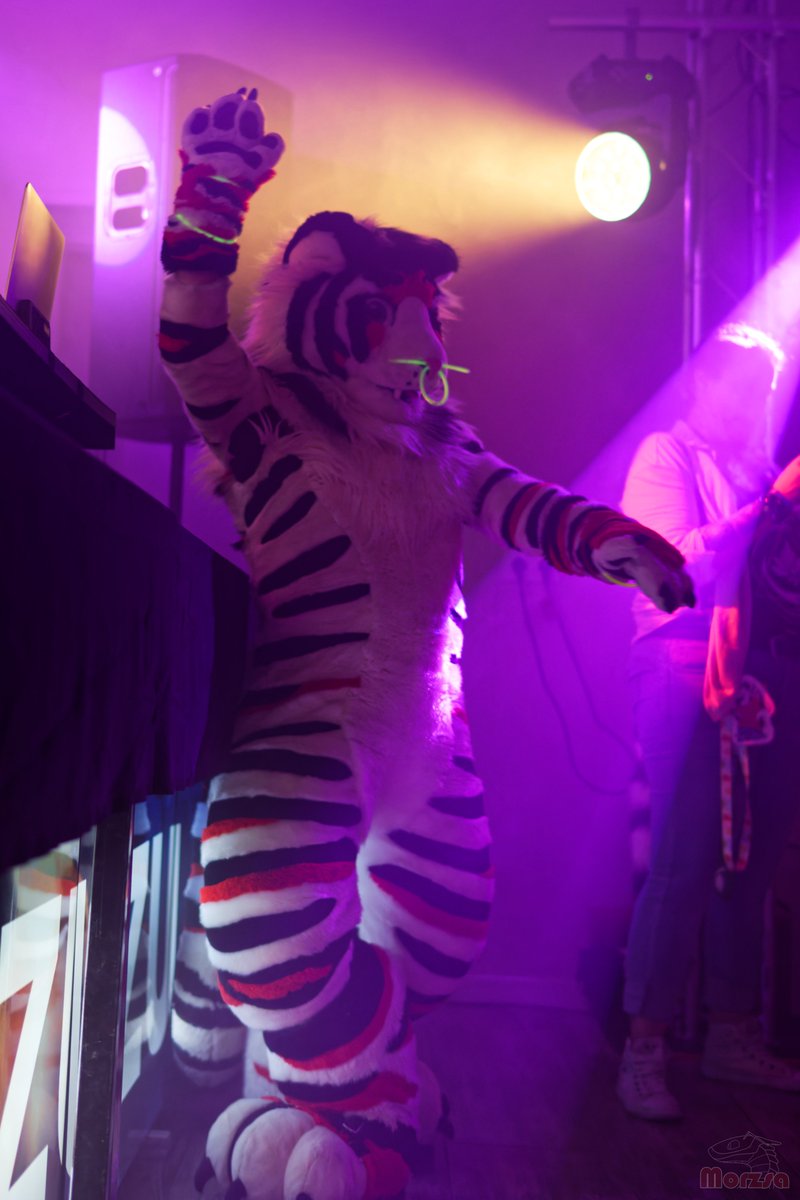 Lime Dev tweet media