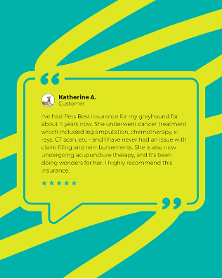 Pets Best tweet media