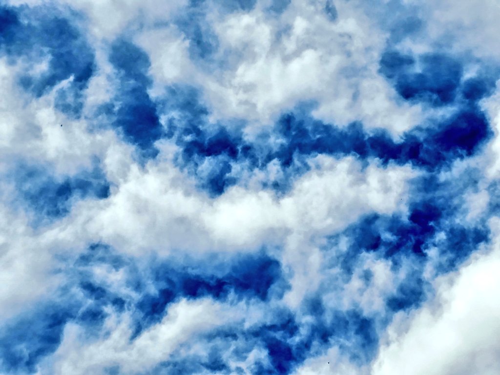 << 런데이 2주 3일차(9일) >>
<< 엣홈달료 >>

🤭
오늘로 2주차 두번씩 모두 완료!! 
담주부터 3주차 도전 하겠음! 

🤔
오늘 달리면서 처음 2분이 할만한걸 깨달음. 
첫날 1분은 커녕 30초만에 헐떡였는데
아, 이게 되네??? 이런 느낌이었음. 

🙃
오늘도 너무너무너무 힘들었지만 
마지막 5분은 정말