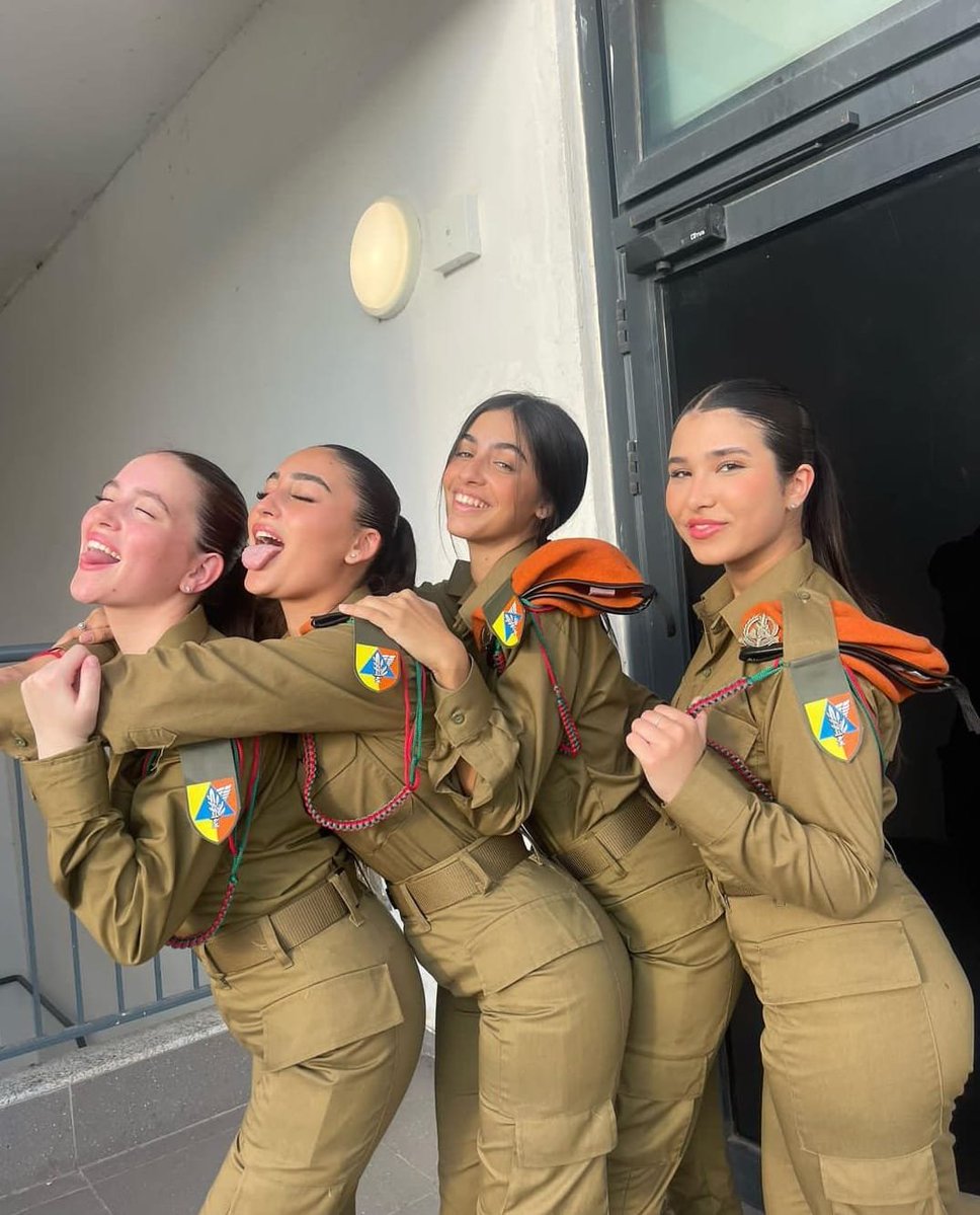 Muhammad Shehada tweet media