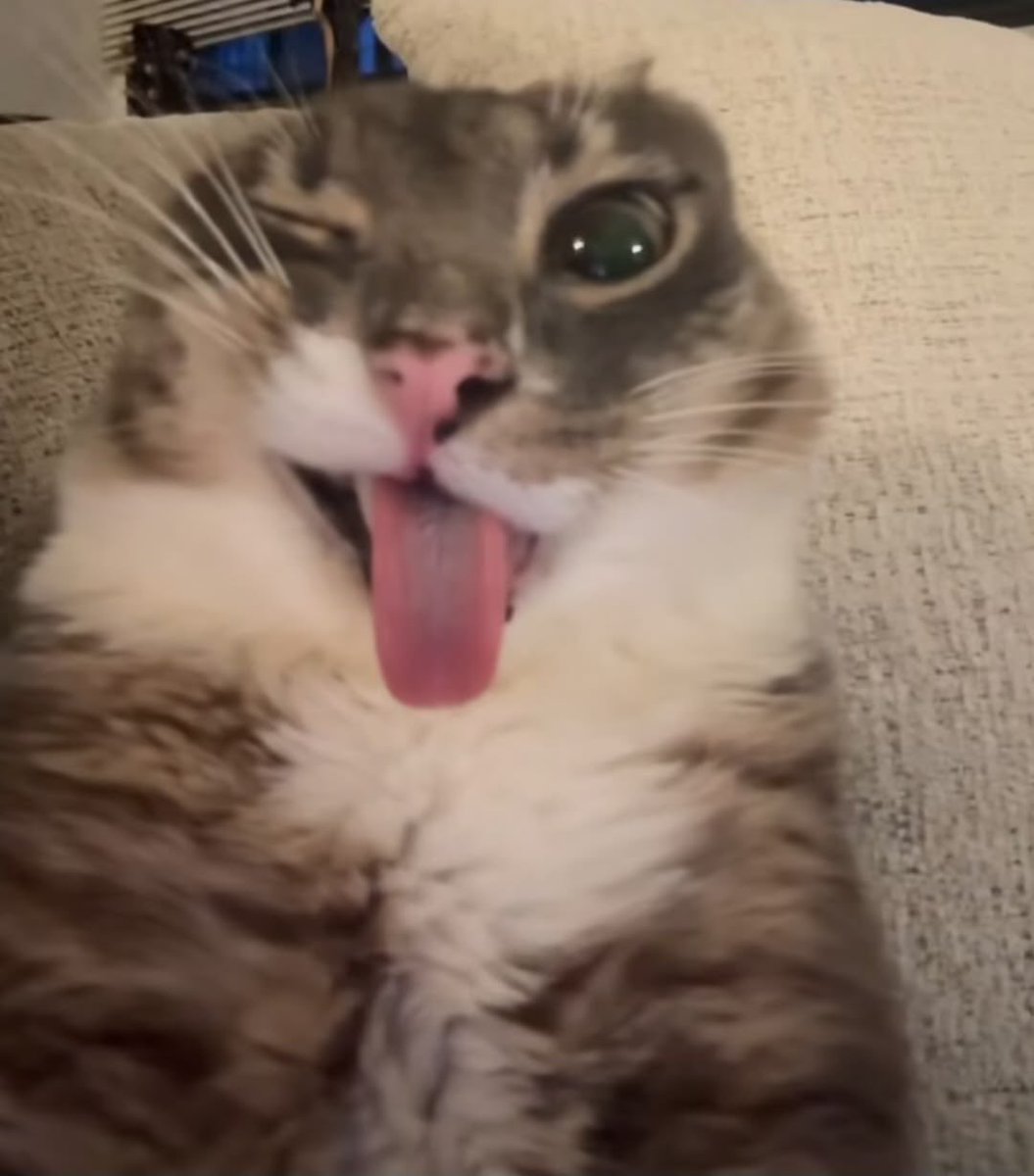 🙎🏻‍♀️ tweet media