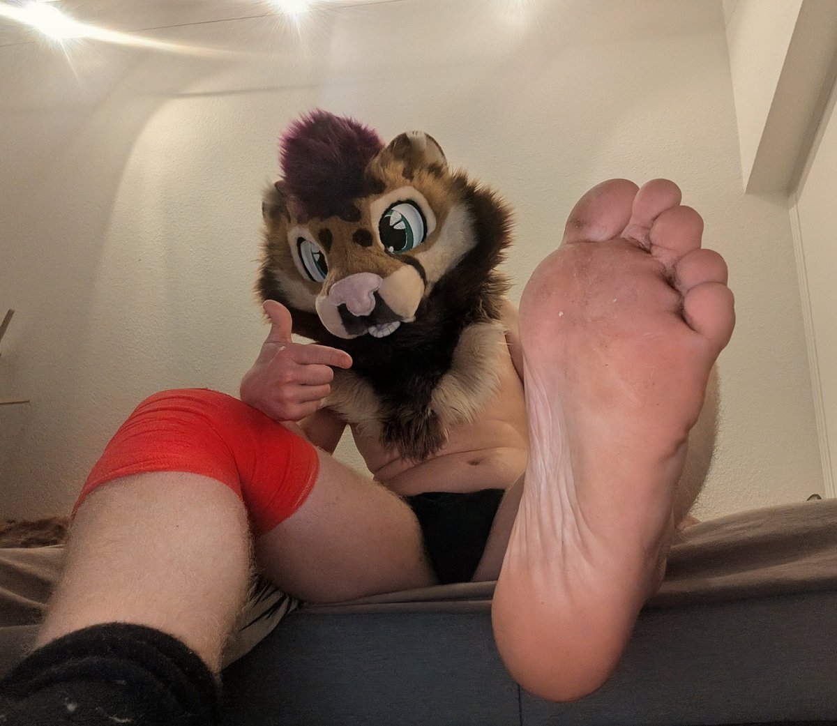 Soft Snep 🧦🐾~ tweet media