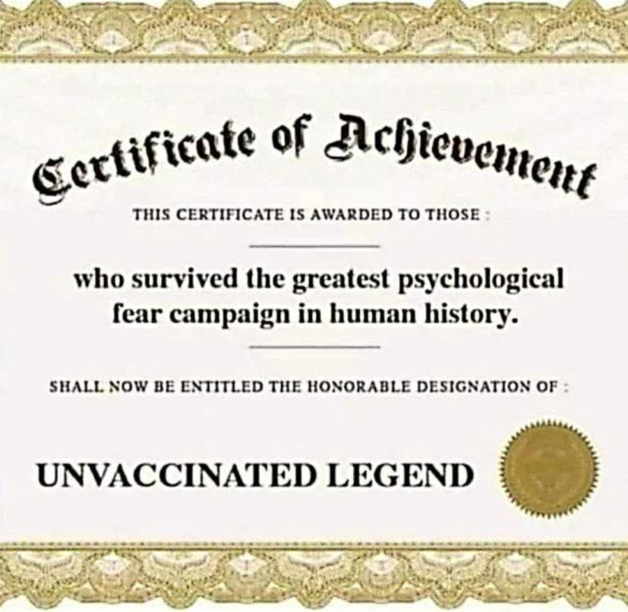 slsoares tweet media